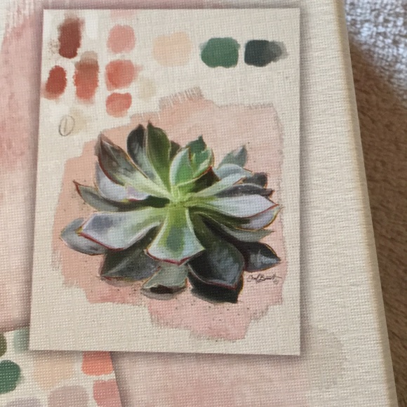 Succulent Cactus Note Card Set of 12 multi design - Picture 2 of 12